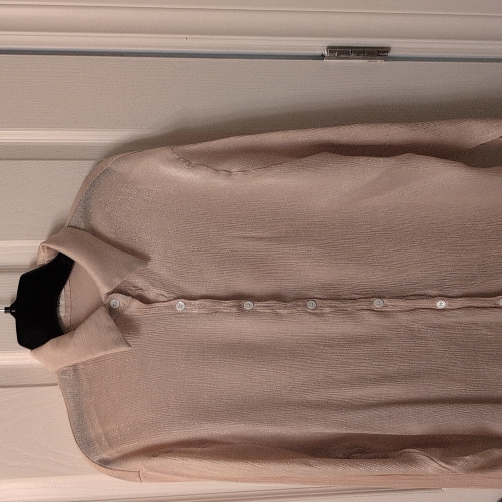 Sheer Button-Up Blouse Shimmering Champagne Color